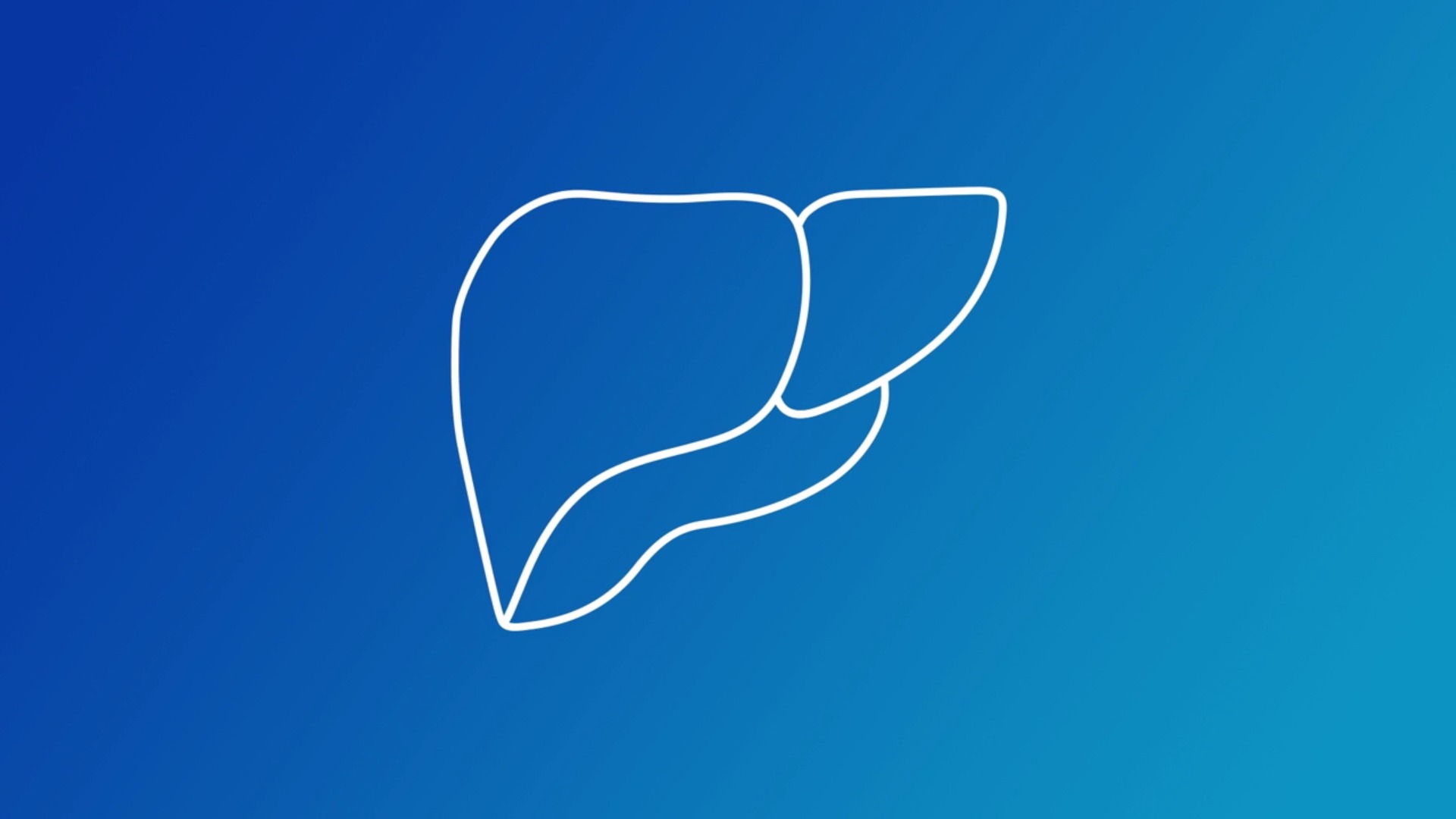 Liver assessment still video