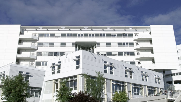 Rennes university