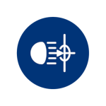 model precis al fasciculului