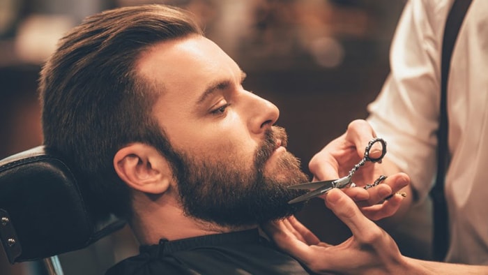Sfaturi pentru cresterea si intretinerea barbii