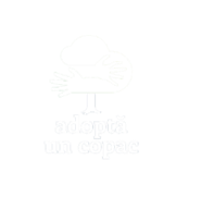 adopta un copac